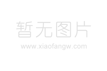 松木樁的特性和介紹